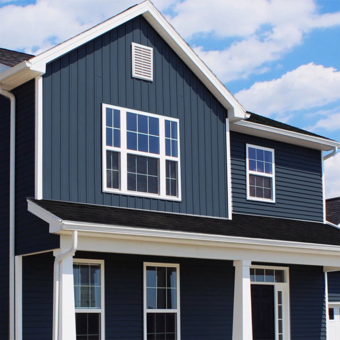 What Color Trim Goes with Dark Blue Siding? - Northern Feeling